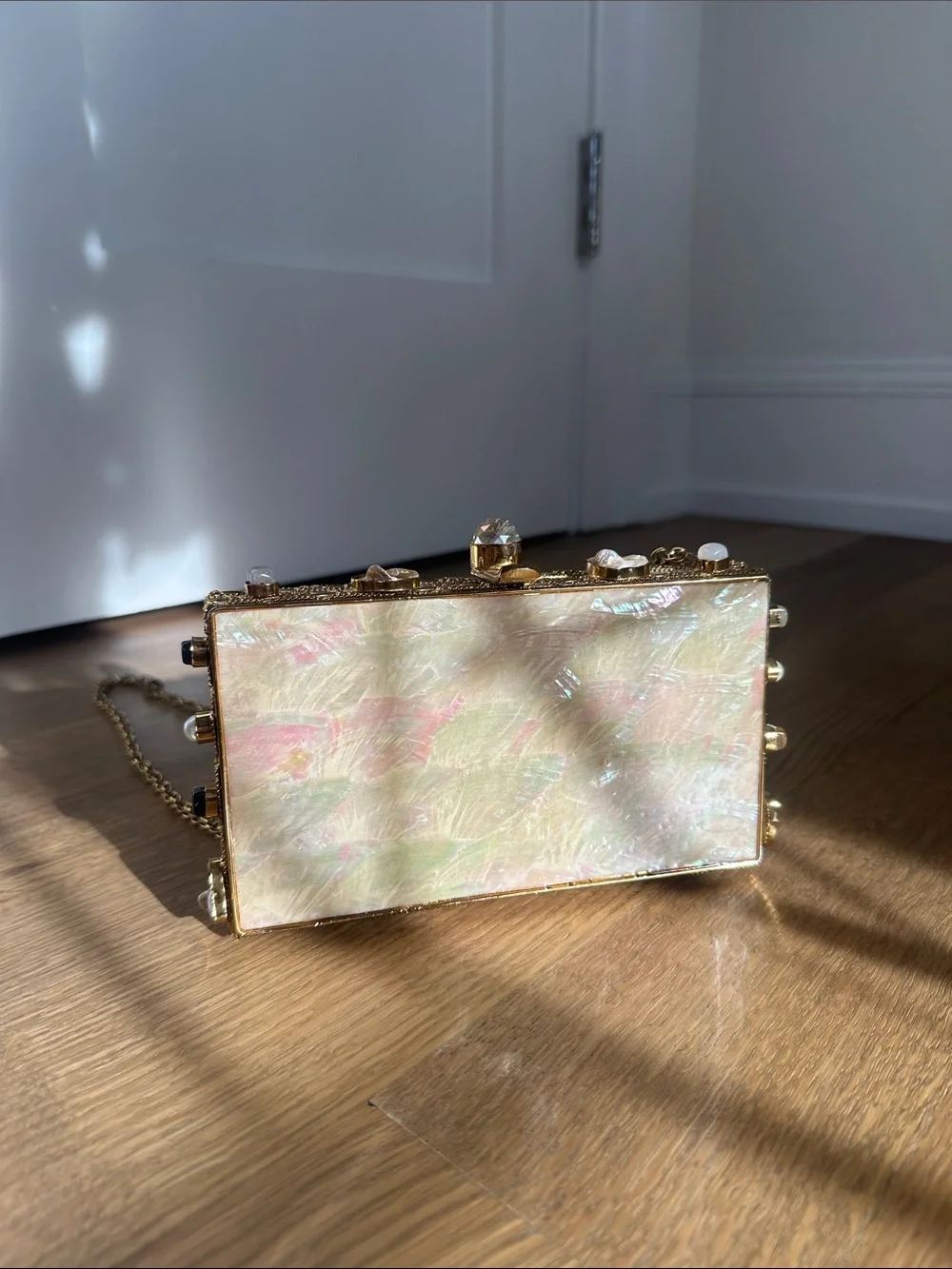 Iridescent Shell Box Clutch with Chain Strap